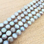 Freshwater Pearl  5-8mm Flatback Silver Bead Strand