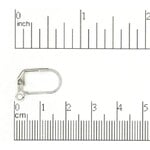 Stainless Steel 17x11mm Leverback Earwire - 10 Pieces