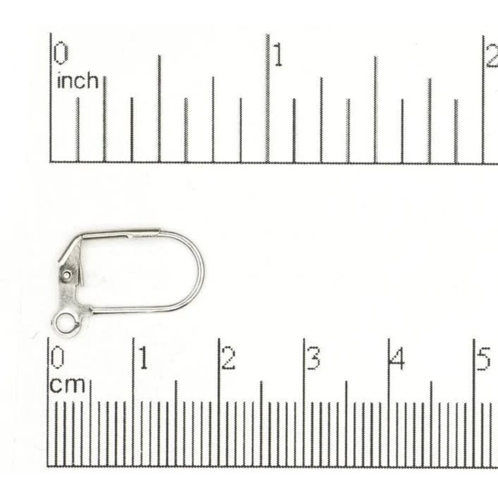 Stainless Steel 17x11mm Leverback Earwire - 10 Pieces