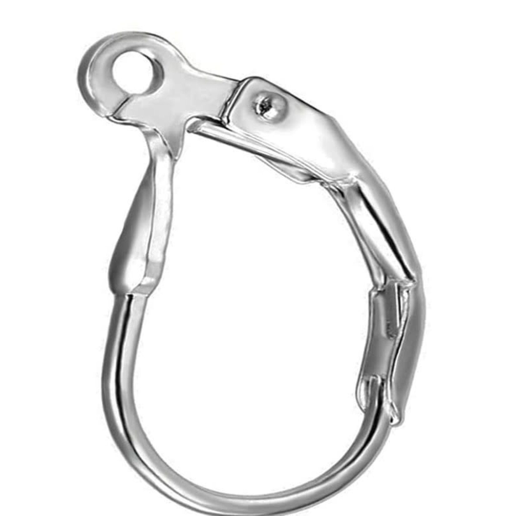 Stainless Steel 10x16mm Leverback - 20 Pieces