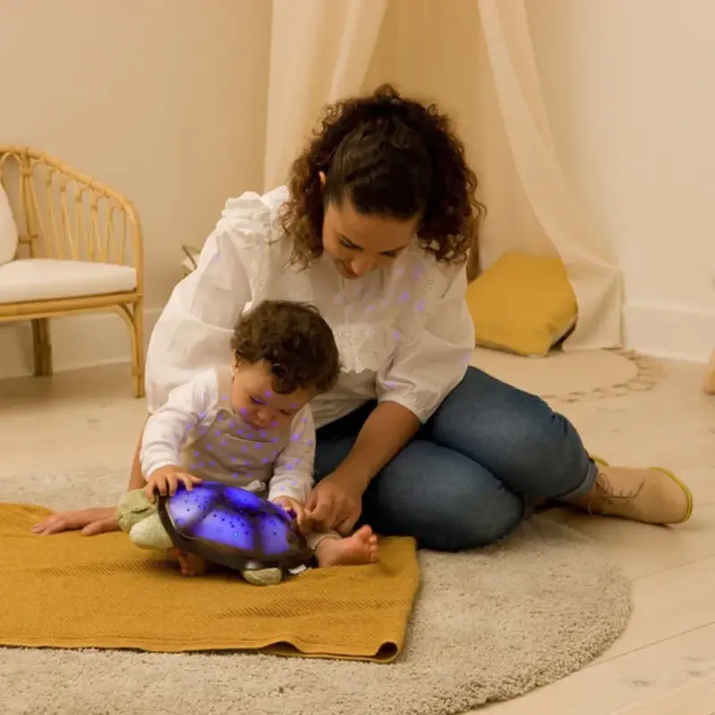 Cloud B Cloud B Night Light Twilight Turtle