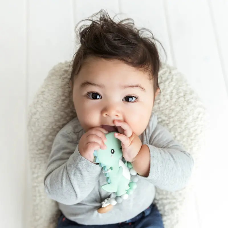 Glitter & Spice Glitter & Spice Teether T-Rex