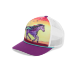 Sunday Afternoons Sunday Afternoons Trucker Hat Horse Feather