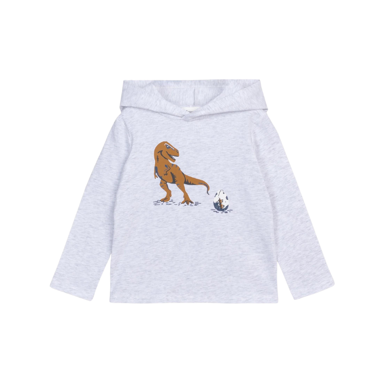 Petit Lem Petit Lem L/S Dino Light Heather Grey