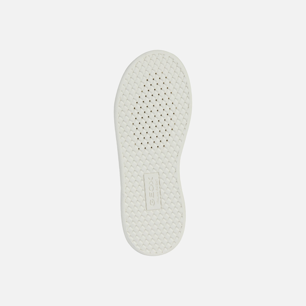 Geox Geox Eclyper Sneaker White/Navy