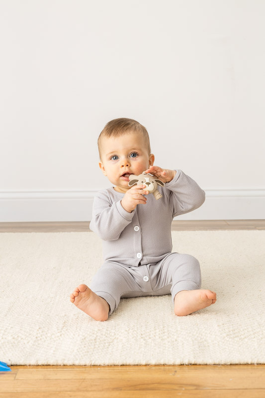 Itzy Ritzy Ritzy Molar Teether Puppy 3M+