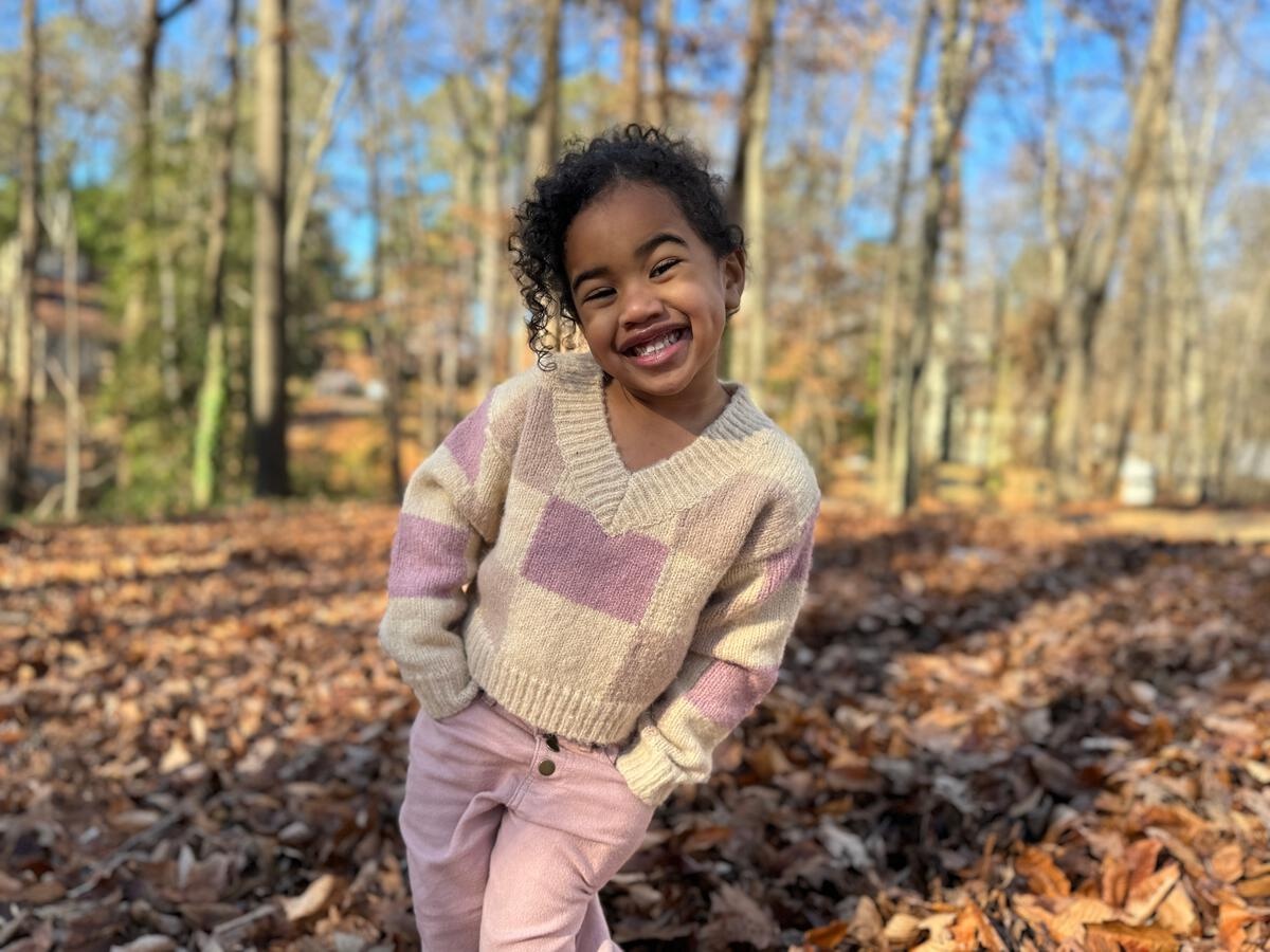 Vignette Vignette Jackie Sweater Rose Checker