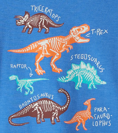 Hatley Hatley L/S Graphic Tee Dino Bones Princess Blue