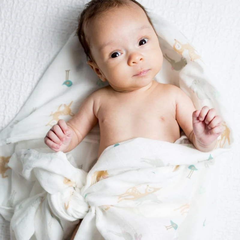 Lulujo Lulujo Muslin Swaddle Cttn/Little Fawn 47" x 47"