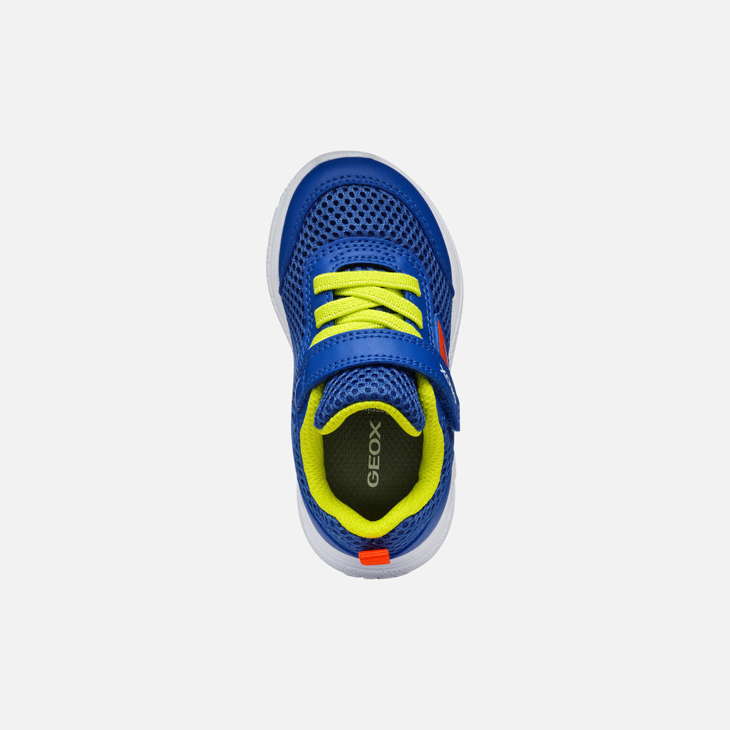 Geox Geox Jr Sprintye Runner Royal/Red