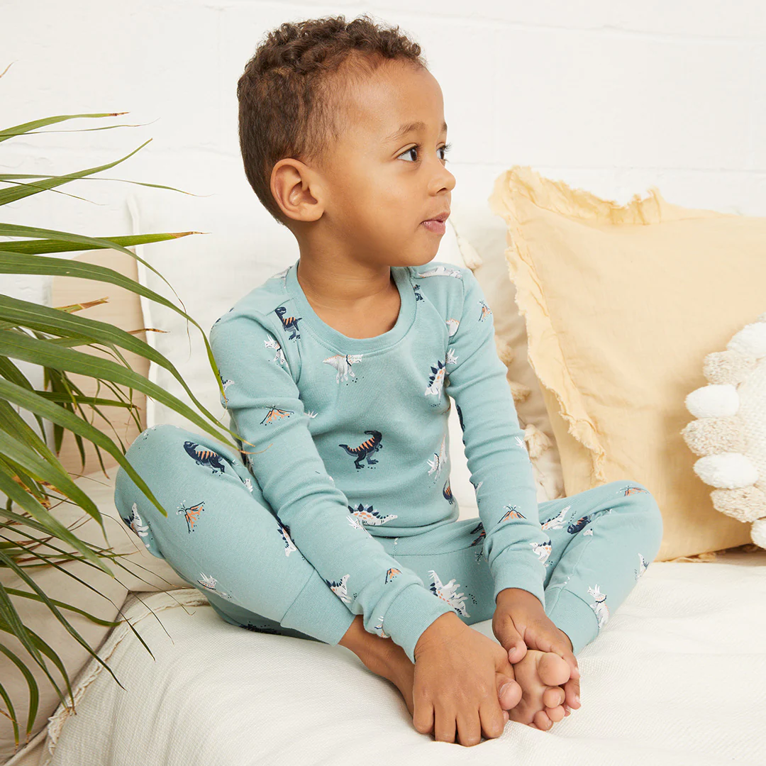 Petit Lem Petit Lem 2pc LS Pajamas Dinosaurs Turquoise