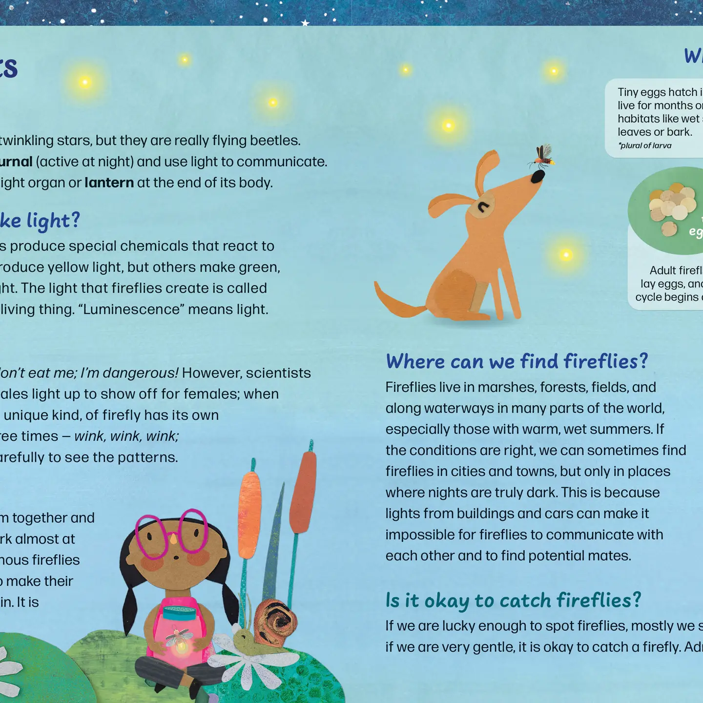 Barefoot Books Books Firefly Galaxy Paperback