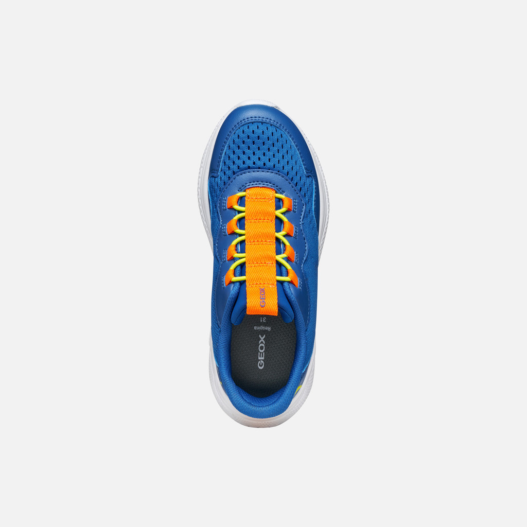 Geox Geox Jr Sprintye Runner Royal/Orange