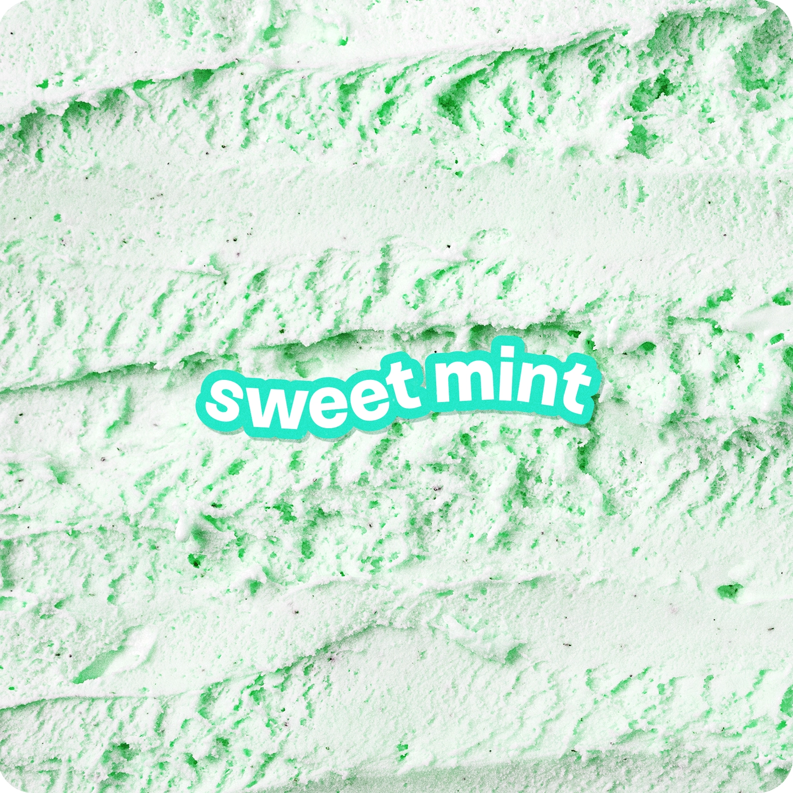 Beamie Balm Beamie Balm Vegan Lip Balm Sweet Mint