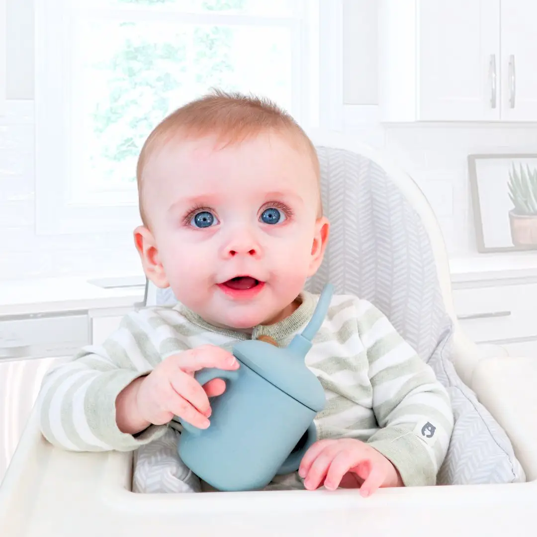 Baby Bliss Baby Bliss Sippy Cup With Straw Spill Proof