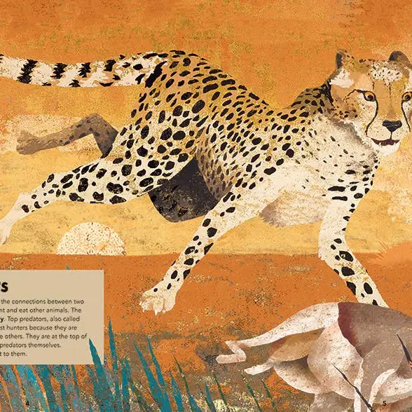 Barefoot Books Books Barefoot Books Incredible Animals Hardcover