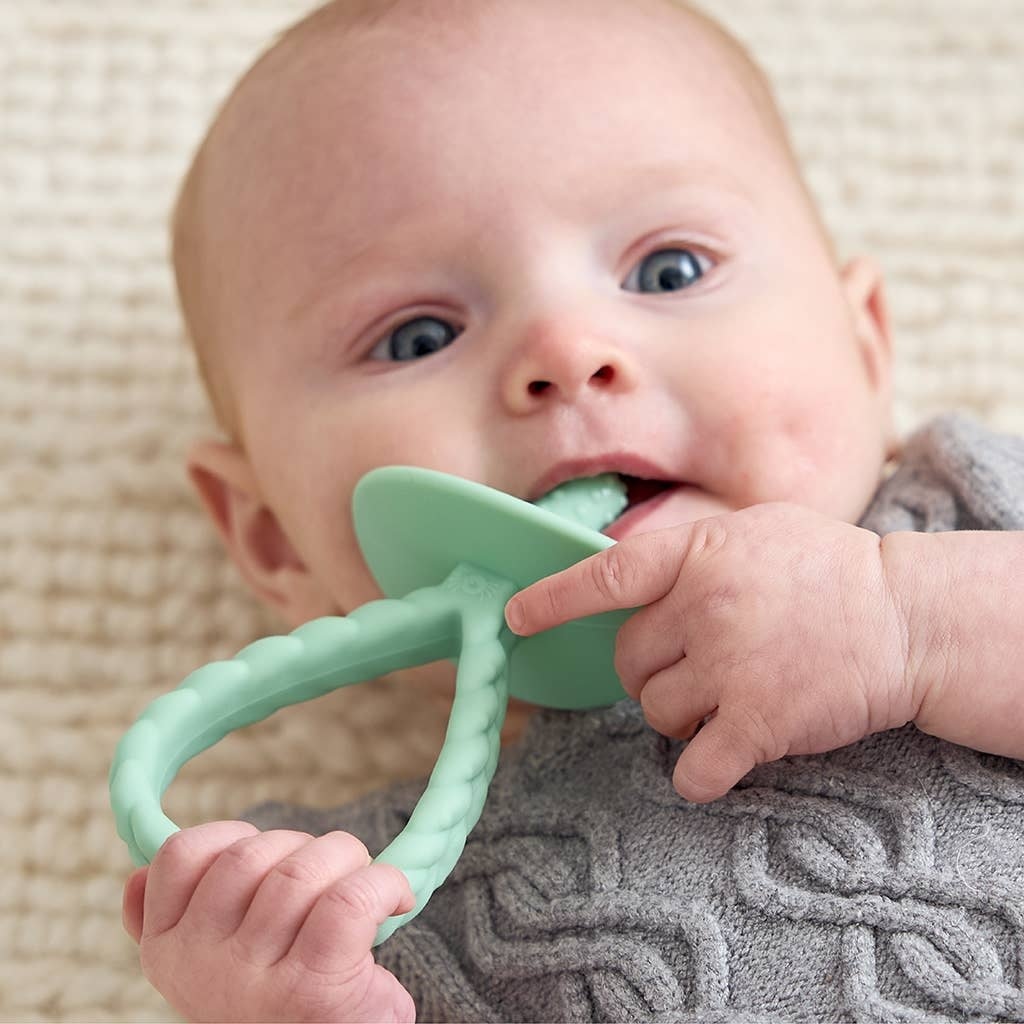 Itzy Ritzy Itzy Ritzy Pre-Feeding Teether Set