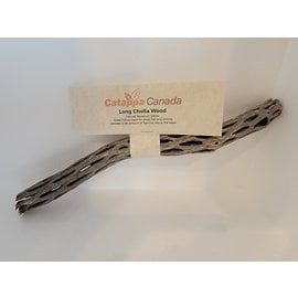 Cholla Wood Large 10"-12"