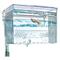 Fluval Fluval Hang on Breeding Box - Medium