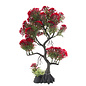 Aqua-Fit Red Pine Bonsai Plastic Plant 11"