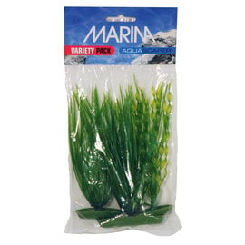 Marina Marina Variety Pack Plants Small