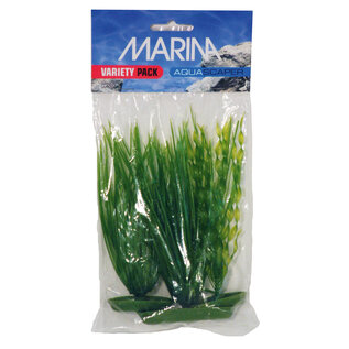 Marina Variety Pack Plants Small