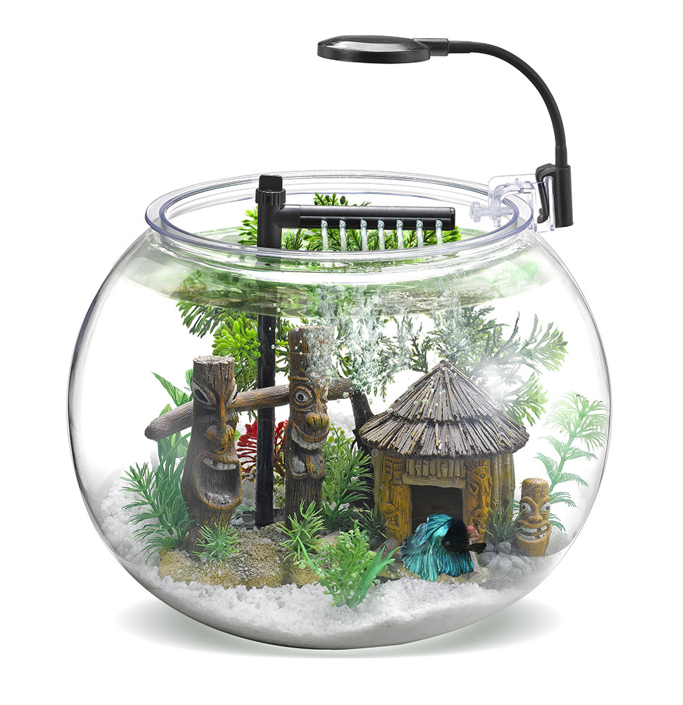 NUBIOS Desktop Betta Bowl Kit 12L - Bobby G's Pro Aquarium