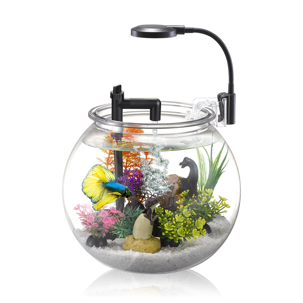 NUBIOS Desktop Betta Bowl Kit 4L - Bobby G's Pro Aquarium