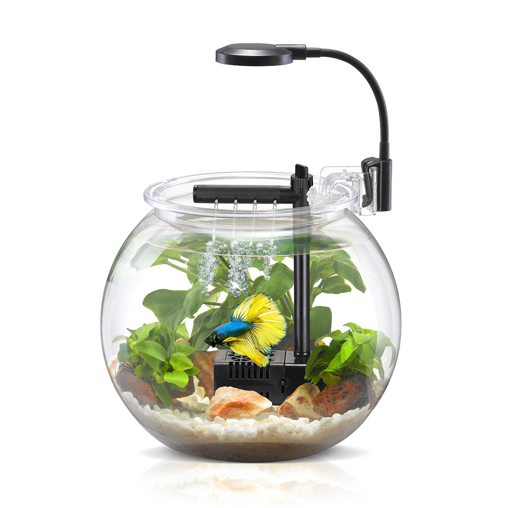 NUBIOS Desktop Betta Bowl Kit 4L - Bobby G's Pro Aquarium