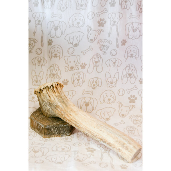 Yellowstone Long Dog Fat Cat