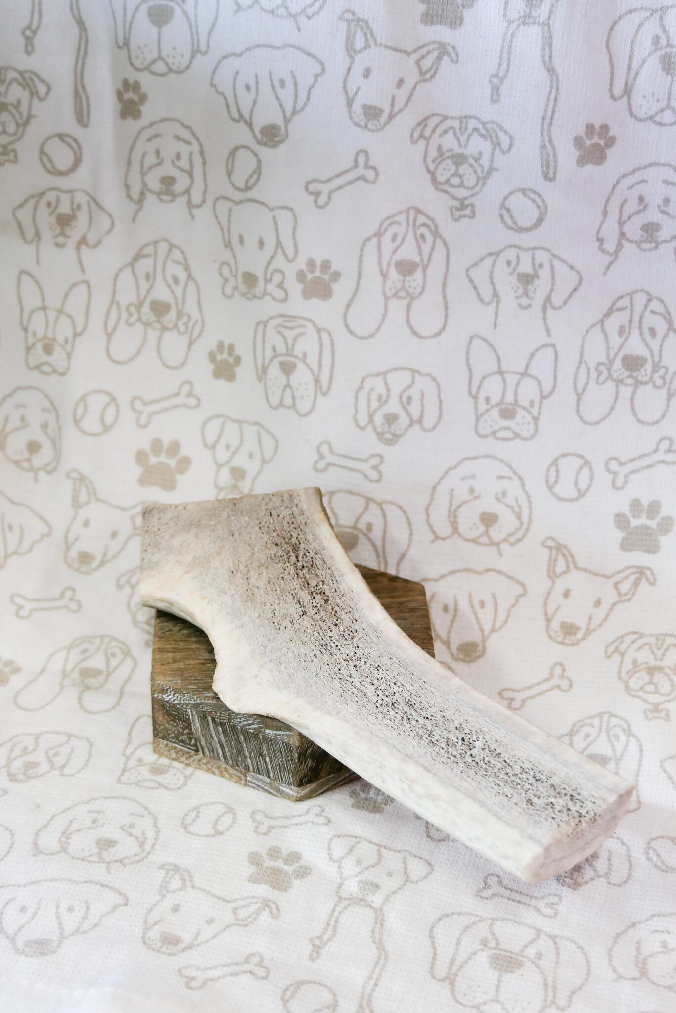 Yellowstone Medium Antler Long Dog Fat Cat