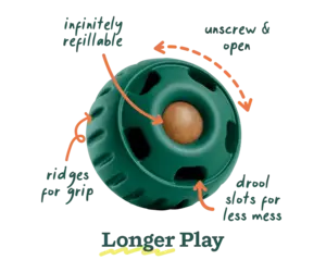 willinckii 'OMG' original pup ② willinckii 'OMG' original pup ② willinckii 'OMG' original pup ②