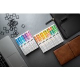 GHOST GHOST DISPOSABLES