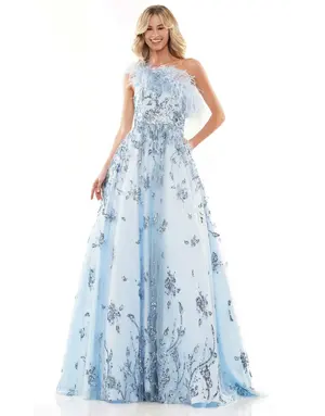 COLORS COLORS ONESHLD FEATHER ACCENTED ALINE GOWNS