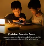 BioLite Charge 80 PD