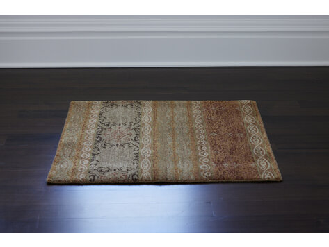 Foliage I Rug: 2’ x 3’ - KTY