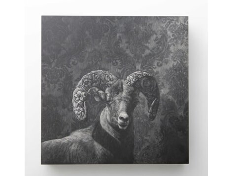 “Bighorn Adorned”