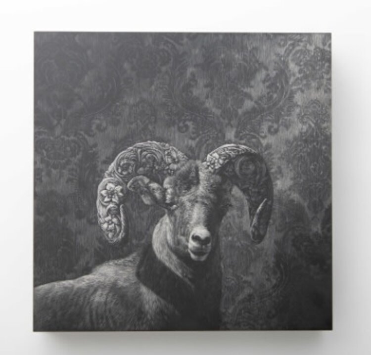 “Bighorn Adorned”