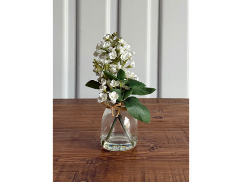 9.25" White Lilac in Glass Vase - KKI