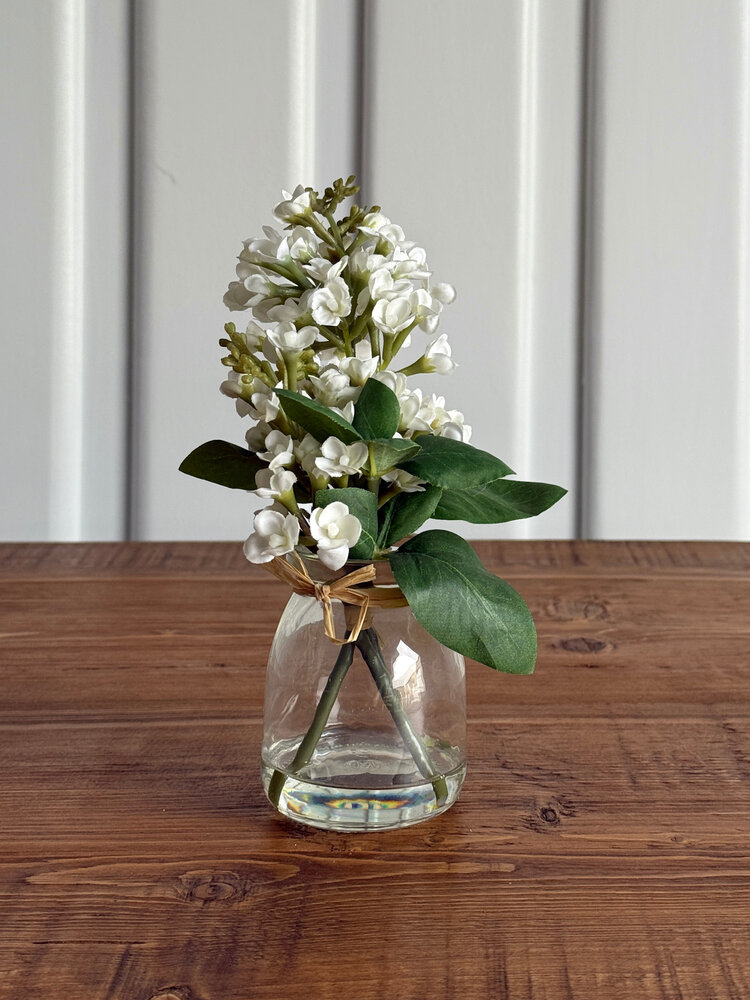 9.25" White Lilac in Glass Vase - KKI