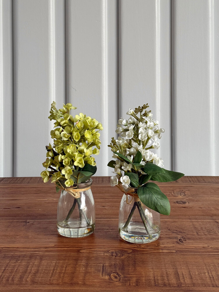 9.25" White Lilac in Glass Vase - KKI