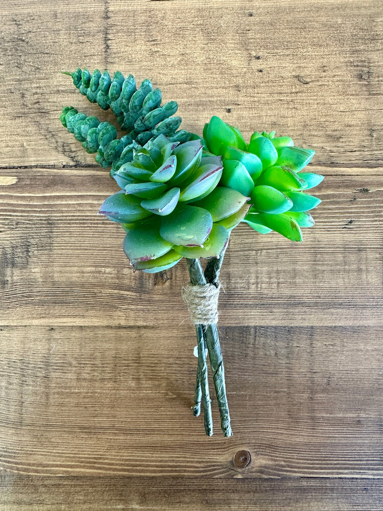 Mixed Succulent Bundle - SAI
