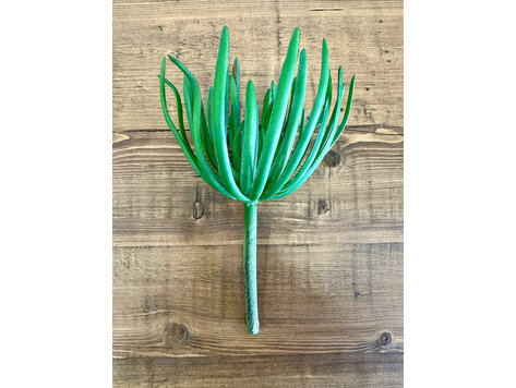 Spike Succulent Rosette - SAI