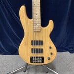 G&L 10391