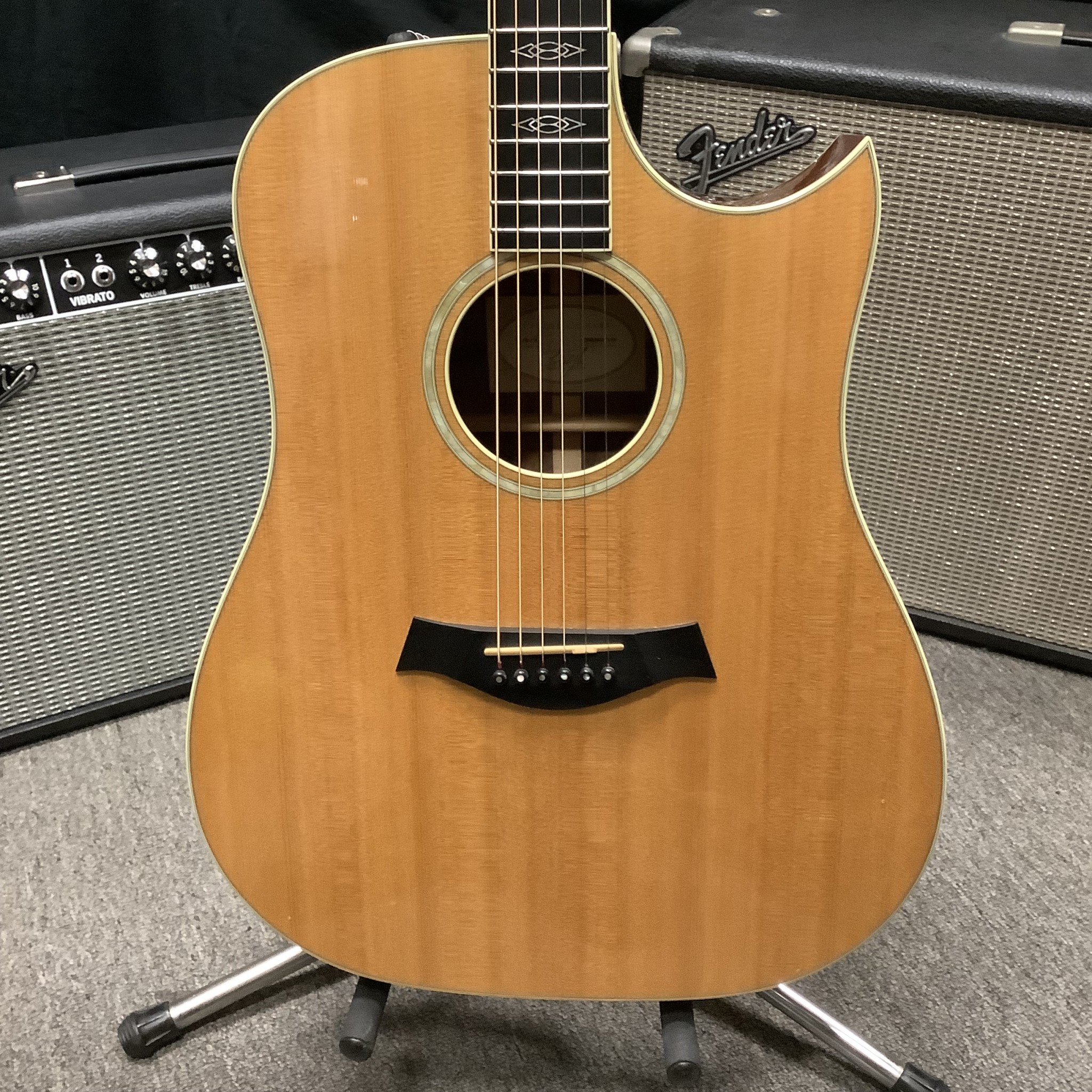 グランドセール 漫画 2003 Taylor W-10-CE - Normans Rare Guitars 小物