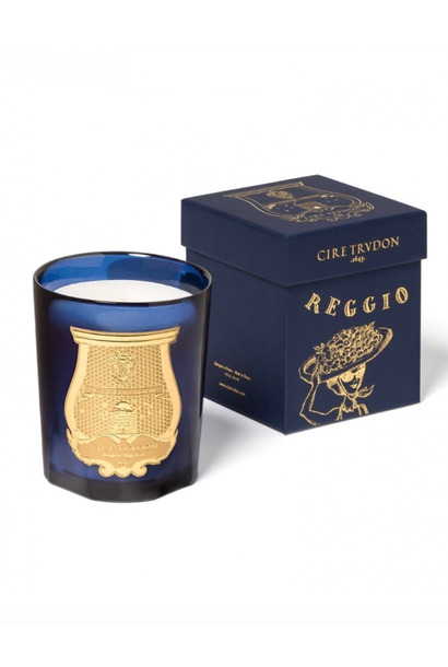 Reggio - Trudon Candle - Les Belles Matieres - 270g