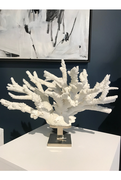 Giuliano Tincani - Branch Coral on Nickel Plated Brass Base - Italy