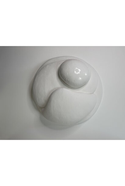 Valery Guo - Gwaii (White), 2021 - Foam, concrete, resin and pigment - 63x63x23cm