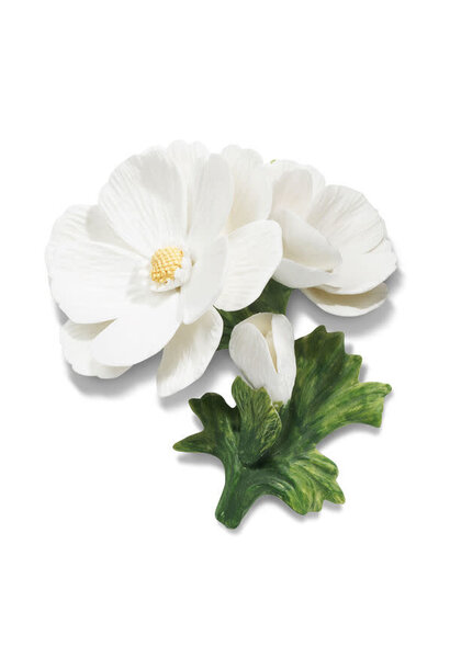 AERIN - Cosmos Porcelain  Flower - White