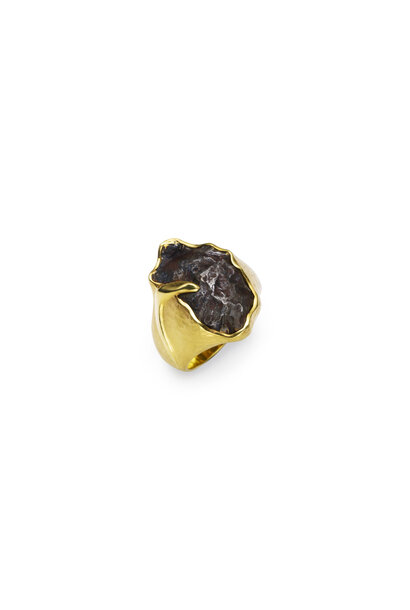 Jorge Adeler - 18ct Yellow Gold Sikhote-Alin Meteorite 25.5ct